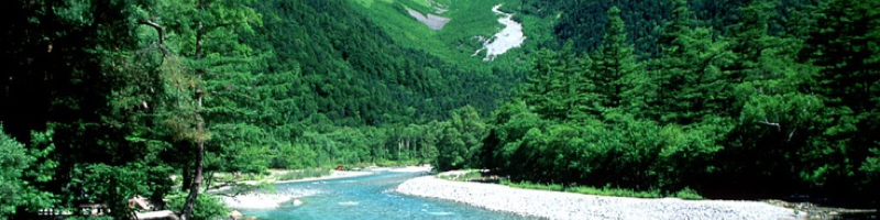 ���C�X�g�X�L�����T�C�g